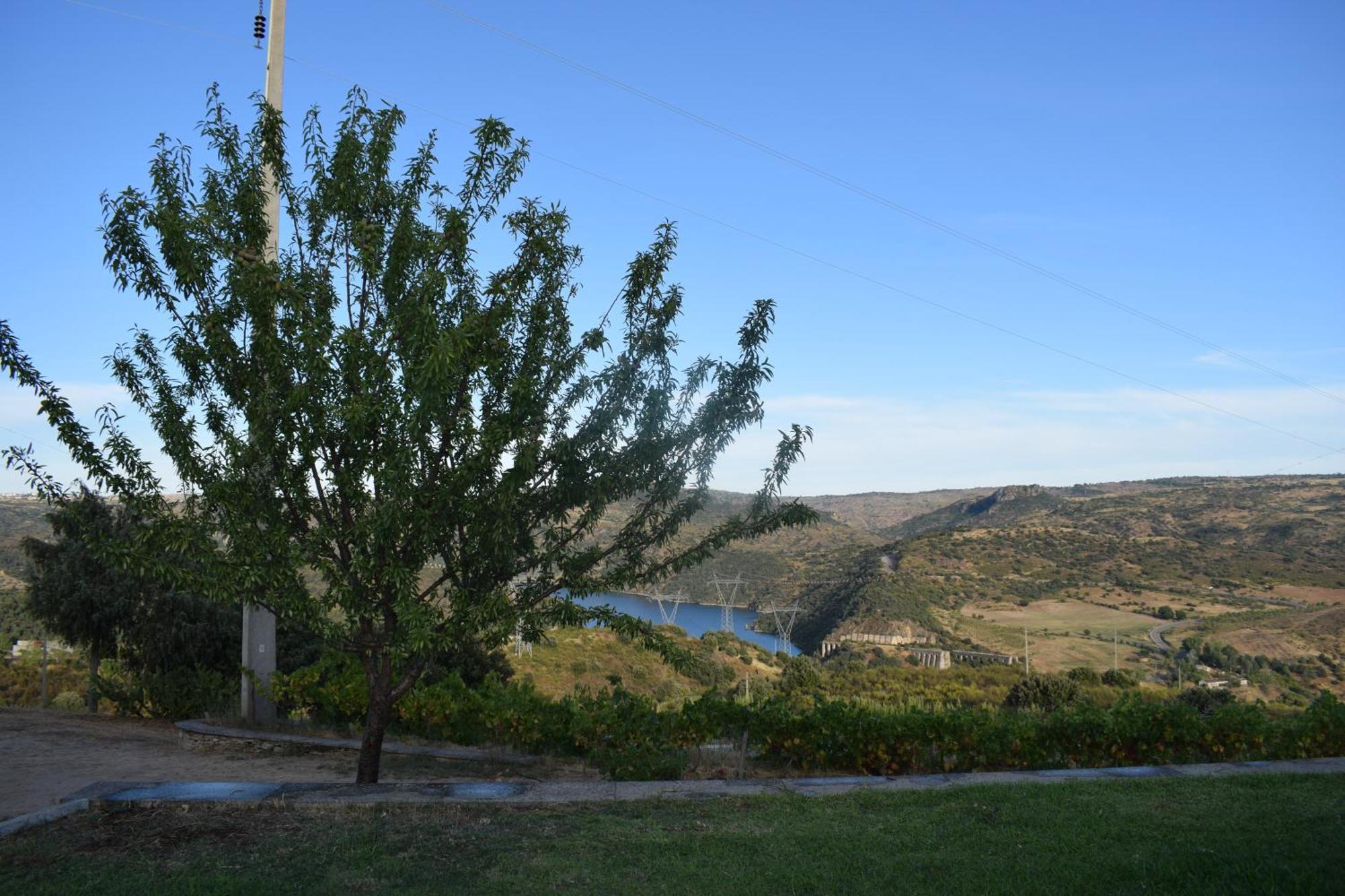 Douro Natura Bemposta  Eksteriør billede