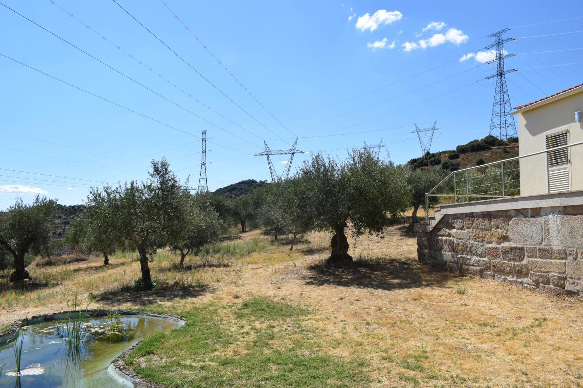 Douro Natura Bemposta  Eksteriør billede